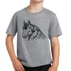 PC Youth Cotton Fan Favorite T-Shirt Thumbnail