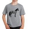 PC Youth Cotton Fan Favorite T-Shirt Thumbnail