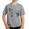 PC Youth Cotton Fan Favorite T-Shirt Thumbnail