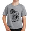 PC Youth Cotton Fan Favorite T-Shirt Thumbnail