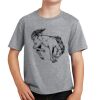 PC Youth Cotton Fan Favorite T-Shirt Thumbnail