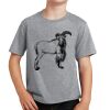 PC Youth Cotton Fan Favorite T-Shirt Thumbnail