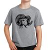 PC Youth Cotton Fan Favorite T-Shirt Thumbnail