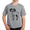 PC Youth Cotton Fan Favorite T-Shirt Thumbnail