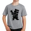 PC Youth Cotton Fan Favorite T-Shirt Thumbnail
