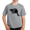 PC Youth Cotton Fan Favorite T-Shirt Thumbnail