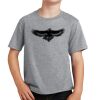 PC Youth Cotton Fan Favorite T-Shirt Thumbnail