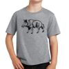 PC Youth Cotton Fan Favorite T-Shirt Thumbnail