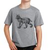 PC Youth Cotton Fan Favorite T-Shirt Thumbnail