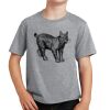 PC Youth Cotton Fan Favorite T-Shirt Thumbnail