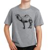 PC Youth Cotton Fan Favorite T-Shirt Thumbnail
