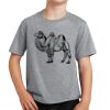 PC Youth Cotton Fan Favorite T-Shirt Thumbnail