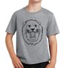 PC Youth Cotton Fan Favorite T-Shirt Thumbnail