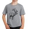 PC Youth Cotton Fan Favorite T-Shirt Thumbnail
