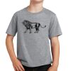 PC Youth Cotton Fan Favorite T-Shirt Thumbnail
