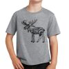 PC Youth Cotton Fan Favorite T-Shirt Thumbnail