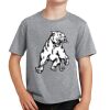 PC Youth Cotton Fan Favorite T-Shirt Thumbnail