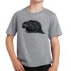 PC Youth Cotton Fan Favorite T-Shirt Thumbnail
