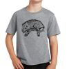 PC Youth Cotton Fan Favorite T-Shirt Thumbnail