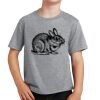 PC Youth Cotton Fan Favorite T-Shirt Thumbnail