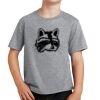 PC Youth Cotton Fan Favorite T-Shirt Thumbnail