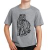 PC Youth Cotton Fan Favorite T-Shirt Thumbnail