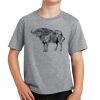 PC Youth Cotton Fan Favorite T-Shirt Thumbnail
