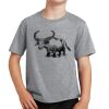 PC Youth Cotton Fan Favorite T-Shirt Thumbnail