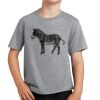 PC Youth Cotton Fan Favorite T-Shirt Thumbnail