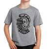 PC Youth Cotton Fan Favorite T-Shirt Thumbnail