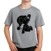 PC Youth Cotton Fan Favorite T-Shirt Thumbnail