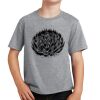 PC Youth Cotton Fan Favorite T-Shirt Thumbnail