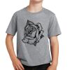 PC Youth Cotton Fan Favorite T-Shirt Thumbnail