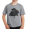 PC Youth Cotton Fan Favorite T-Shirt Thumbnail
