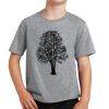 PC Youth Cotton Fan Favorite T-Shirt Thumbnail