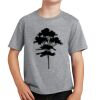 PC Youth Cotton Fan Favorite T-Shirt Thumbnail