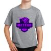 PC Youth Cotton Fan Favorite T-Shirt Thumbnail