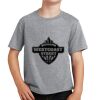 PC Youth Cotton Fan Favorite T-Shirt Thumbnail