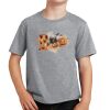 PC Youth Cotton Fan Favorite T-Shirt Thumbnail