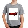 PC Youth Cotton Fan Favorite T-Shirt Thumbnail