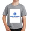 PC Youth Cotton Fan Favorite T-Shirt Thumbnail