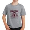PC Youth Cotton Fan Favorite T-Shirt Thumbnail