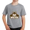 PC Youth Cotton Fan Favorite T-Shirt Thumbnail