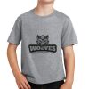 PC Youth Cotton Fan Favorite T-Shirt Thumbnail