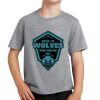 PC Youth Cotton Fan Favorite T-Shirt Thumbnail