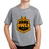 PC Youth Cotton Fan Favorite T-Shirt Thumbnail