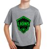 PC Youth Cotton Fan Favorite T-Shirt Thumbnail