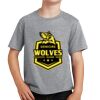 PC Youth Cotton Fan Favorite T-Shirt Thumbnail