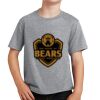 PC Youth Cotton Fan Favorite T-Shirt Thumbnail