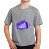 PC Youth Cotton Fan Favorite T-Shirt Thumbnail